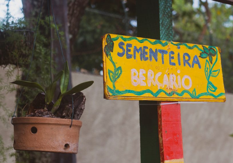 Os participantes do Jardim Secreto construíram uma sementeira e sua própria composteira para adubar as plantas