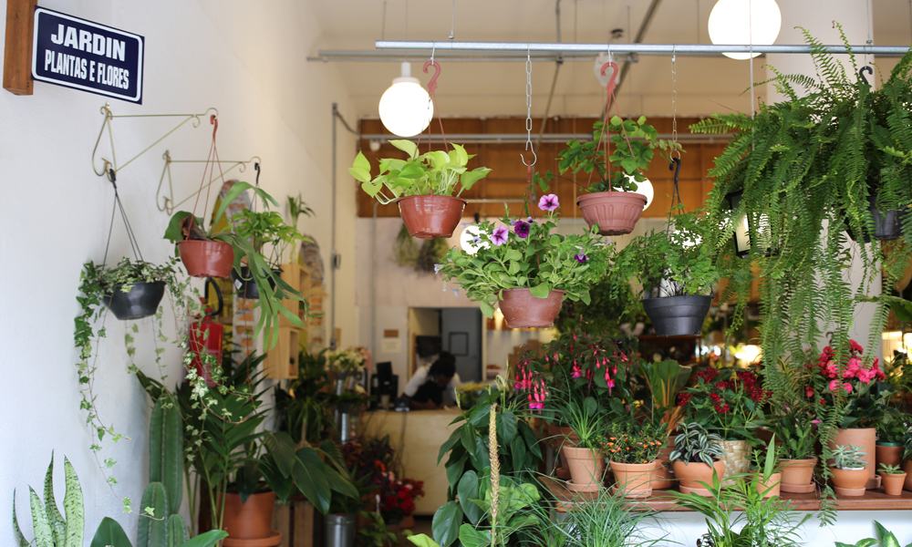 Jardim do Centro: a loja de plantas que também abriga café, sorveteria, coworking e um pequeno cinema antigo